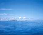 海水檢測